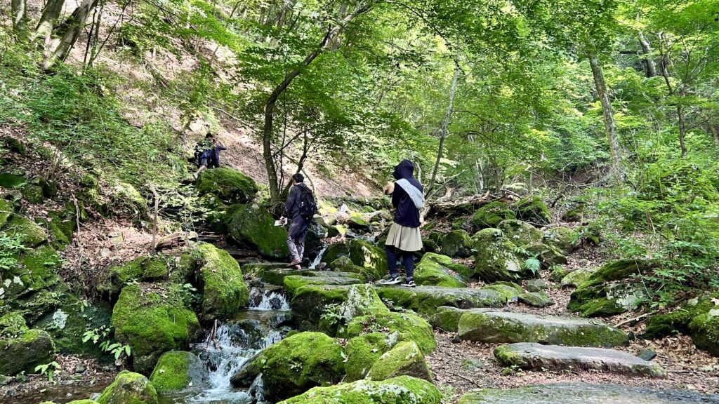ロックガーデンの風景
