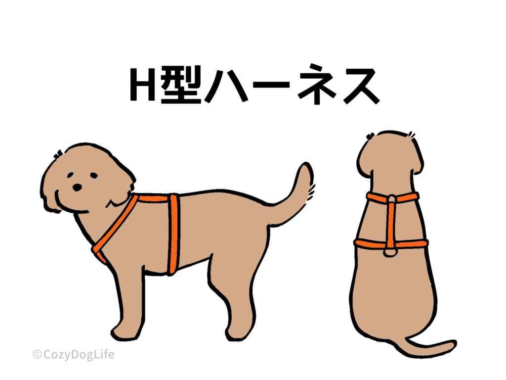 H型ハーネスの図解イラスト